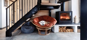 dog in chair in front of a fire