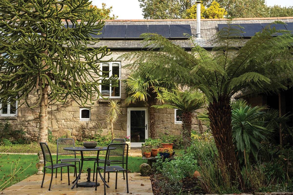 stone farmhouse behind large Ferm and monkey puzzle tree
