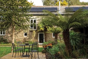 stone farmhouse behind large Ferm and monkey puzzle tree