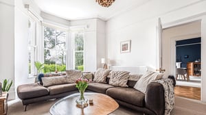 living room with large corner sofa and lots of plants