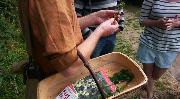 Marraum team foraging